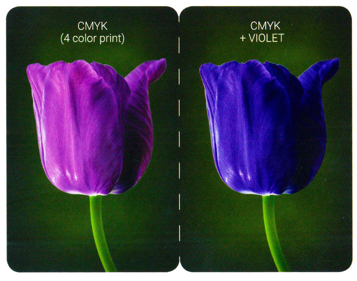 example of printing in cmjn and purple